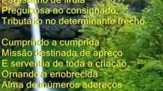 PRECIOSA META