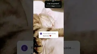 А вы что думаете?