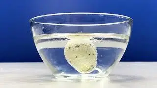 Amazing Reaction: What Happens to a Quail Egg in Vinegar?