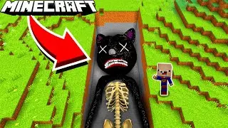ICH FINDE CARTOON CATS GRAB IN MINECRAFT!