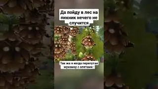 О шишка мем