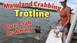 Maryland 