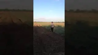 вспашка земли