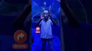 சுரா மீன் ivlo kittaya💀Chennai Aquarium🐠 #shortsvideo
