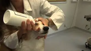 How to Rinse an Eye