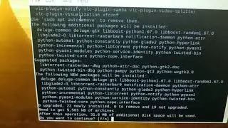 How to install deluge on raspberry pi with icon easy one command torrent client downloader