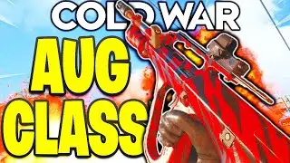 AUG BEST CLASS SETUP COLD WAR! 