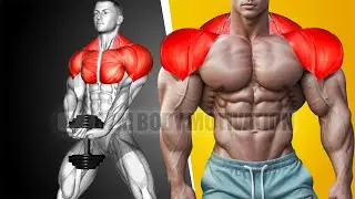 6 Shoulder Excercises For Growth - Gym Body Motivation