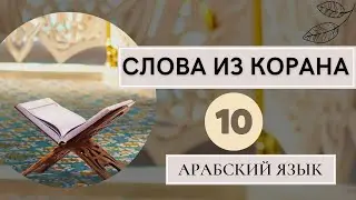 УЧИМ АРАБСКИЙ- Слова из Корана (часть 10) Животные упомянутые в Коране