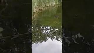 30 июля 2022 г.