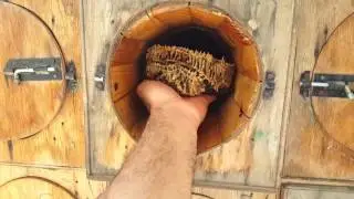 Пчеловодство в Аравии! сотовый мед