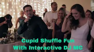 Fun wedding with interactive dj and mc