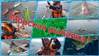 Рыбалка на Камчатке. Краб, минтай, палтус, терпуг и камбала ! До кучи и дрон утопили !