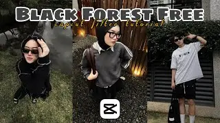 Aesthetic CapCut Filter || Free Dark Forest Filter