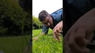 Rasenkanten adé 😱 so einfach pflegst du deinen Rasen 🏡 #gartenideen #garden #garten #Gloria #rasen