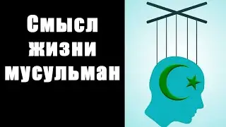 Иллюминат: предопределение в исламе