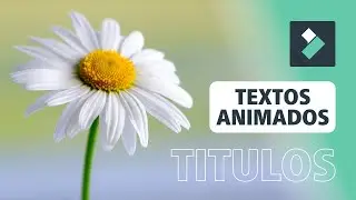 Create Animated Text and Titles in Filmora 🤩 | Filmora Course