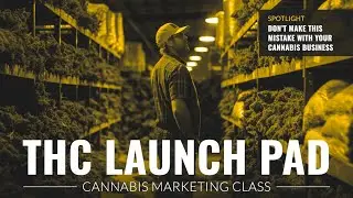 THC Launchpad Bonus: Don't Make This Mistake With Your Cannabis Business