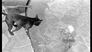 Barbara Stanwyck 1936 Swimming Time