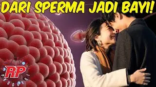 BEGINI LOH! PROSES PEMBUATAN ANAK DI DALAM PERUT IBU | DARI SPERMA HINGGA LAHIR