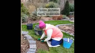 Бордюр день шестой! Газон убрала полностью. Камни пока просто лежат на земле. Март 2023