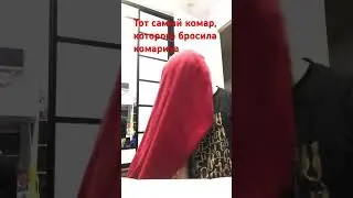 #юкан