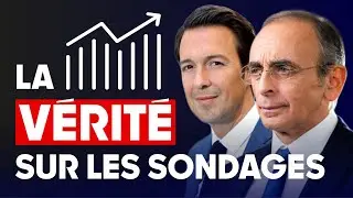 Eric Zemmour : La vérité sur les sondages par Guillaume Peltier
