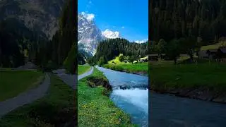 #naturevideo   #shorts #shortsvideo  #statusvideo #statusvideo #trending #naturevideo #relaxingmusic