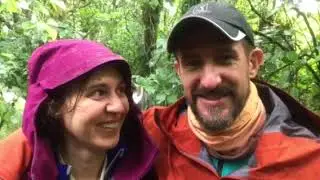 7Summits Africa Gorilla feedback Virunga National Park