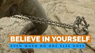 The Power of Belief