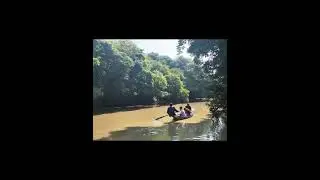 Ratargul Swamp Forest 04-2023