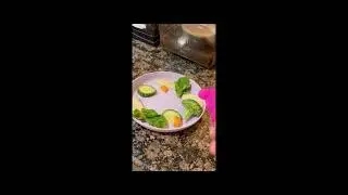 How to prepare food for garden snails 🐌