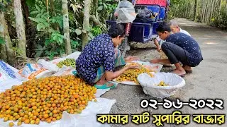 লক্ষীপুর কামারহাট সুপারির বাজারে এখনো অনেক ভালো সুপারি পাওয়া যায় | পাকা সুপারির বাজার মূল্য জানুন?