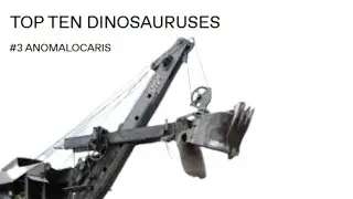 Top Ten Dinosauruses - Number 3 - Anomalocaris