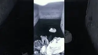 Это не война....