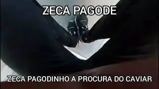 ZECA PAGODE