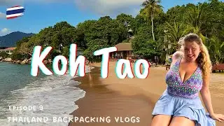 This is the BEST island in Thailand! Koh Tao Travel Vlog
