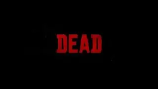 Red Dead Redemption 2 - The KKK
