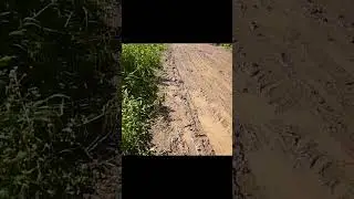 Все здесь прошли и я 