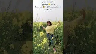 #ddlj #youtube #love #shortvideo #shorts #minivlog #vadapav