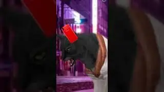 Когда твой друг крыса