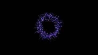 17. Raices - Santiago Insane (Entrelazamientos)