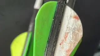NORTHWEST FLORIDA OPENING WEEKEND ARCHERY SEASON DEER DOWN