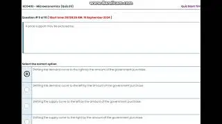 ECO-402 Microeconomics (Quiz-03 B) |By Virtual University |Online VU
