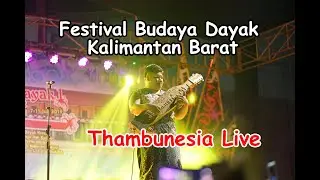 Thambunesia - FESTIVAL BUDAYA DAYAK KALIMANTAN BARAT (Sape Intrument )