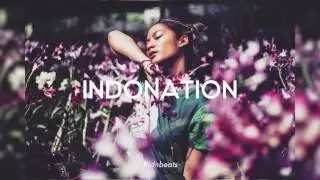 NOVAKAИE - Tara Basro