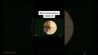 What would u do?😂#csgo #csgoclips #csgofunny #ксго