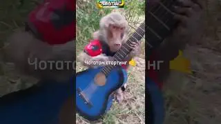 Салатэс Олевьеэтос 😋 