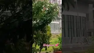 Green 💚