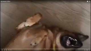 &&&&???&?&?&